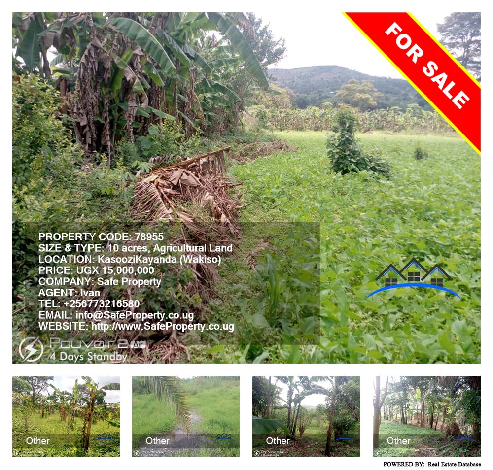 Agricultural Land  for sale in Kasoozi Wakiso Uganda, code: 78955