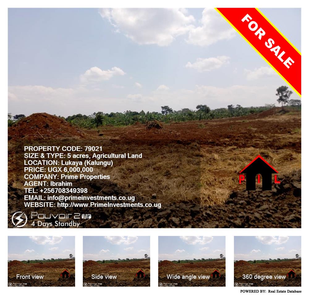 Agricultural Land  for sale in Lukaya Kalungu Uganda, code: 79021