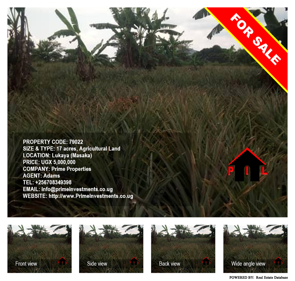 Agricultural Land  for sale in Lukaya Masaka Uganda, code: 79022