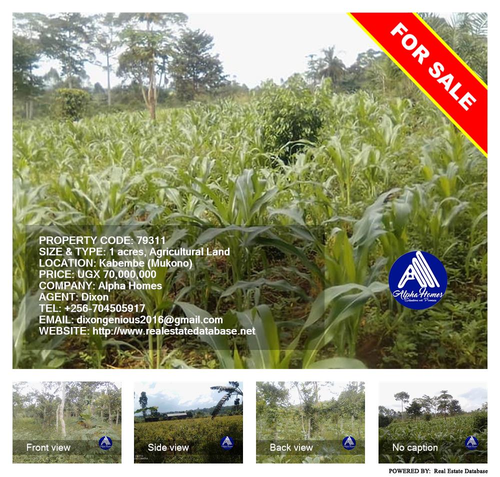 Agricultural Land  for sale in Kabembe Mukono Uganda, code: 79311