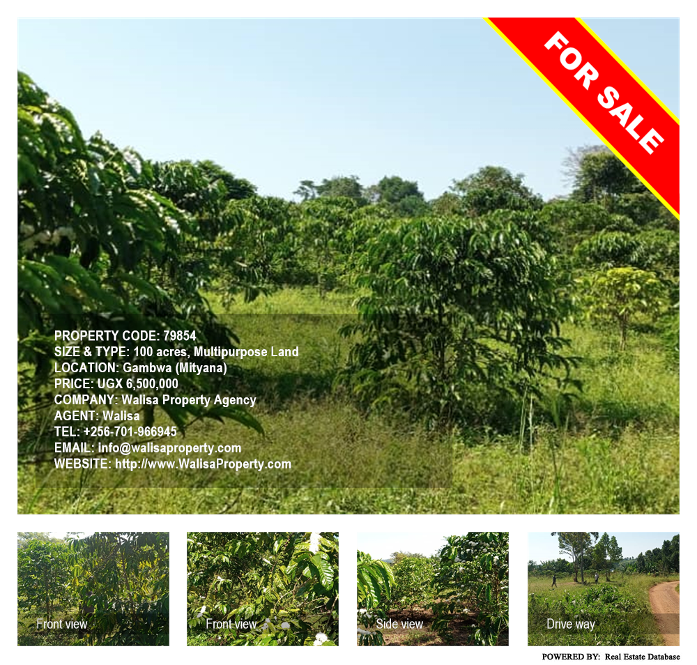 Multipurpose Land  for sale in Gambwa Mityana Uganda, code: 79854