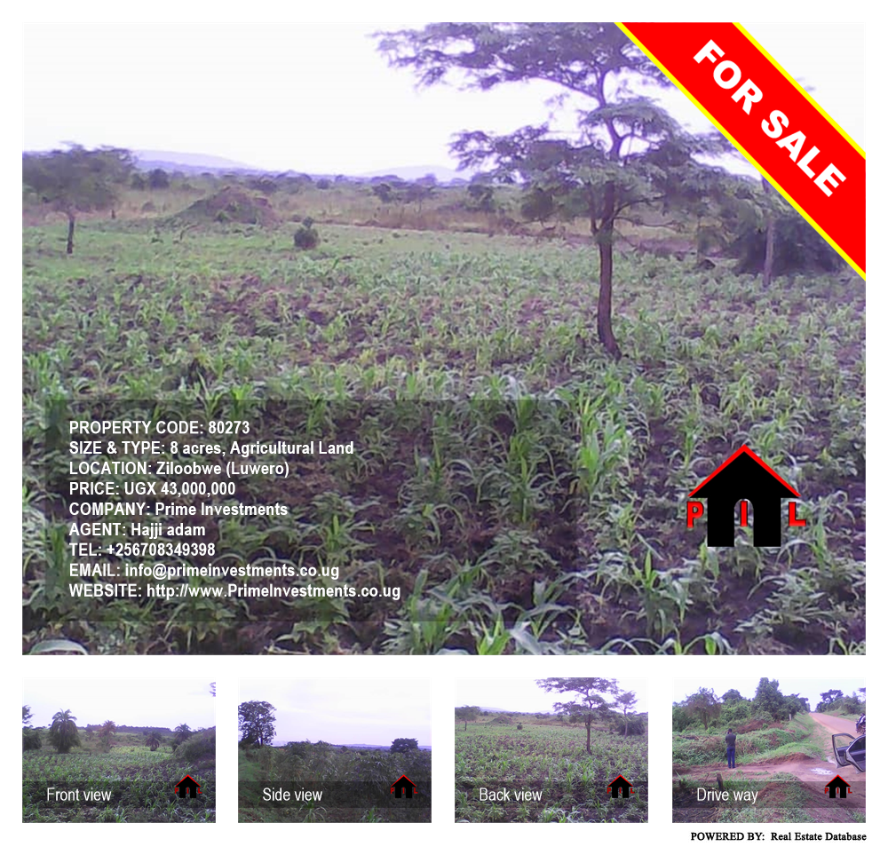 Agricultural Land  for sale in Ziloobwe Luweero Uganda, code: 80273