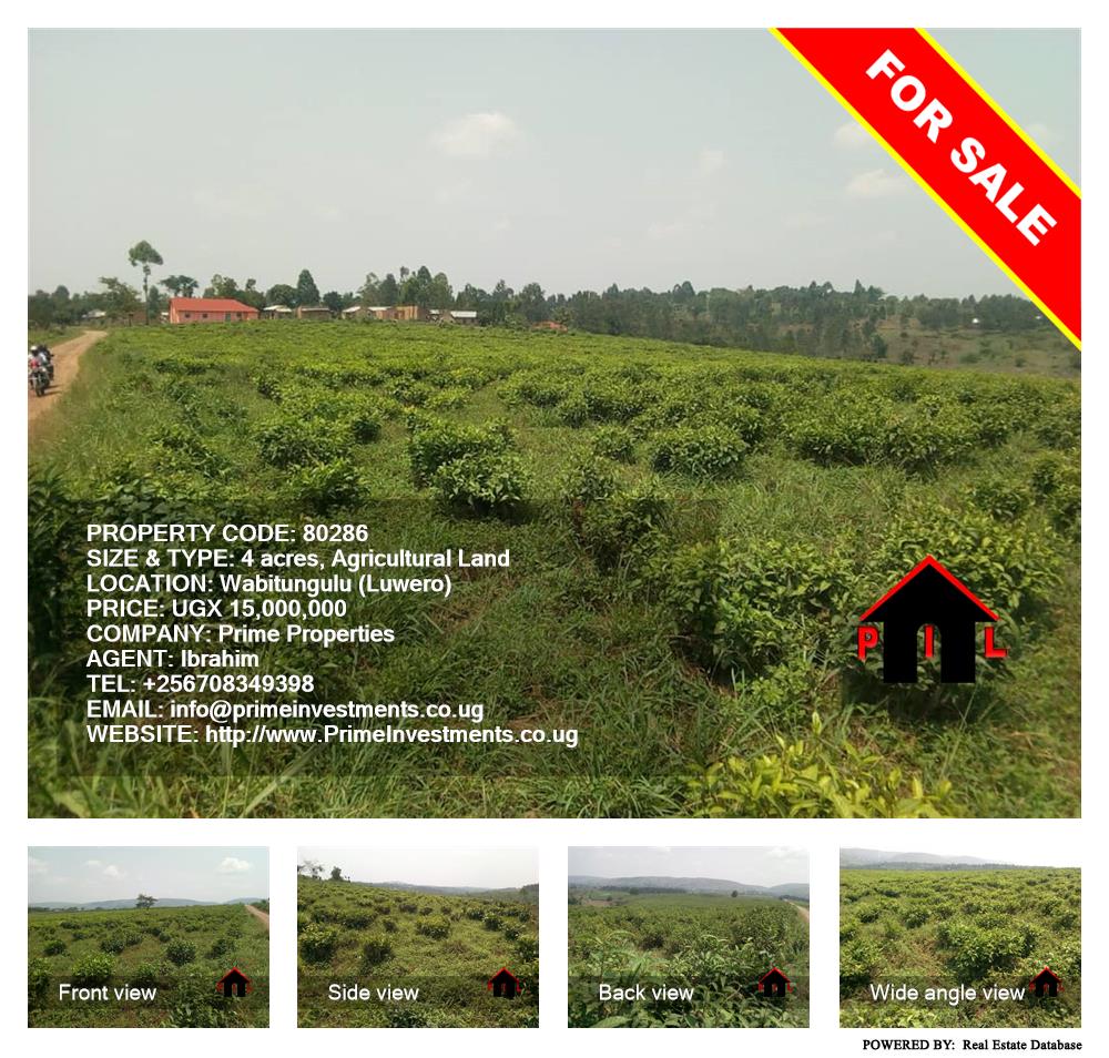 Agricultural Land  for sale in Wabitungulu Luweero Uganda, code: 80286