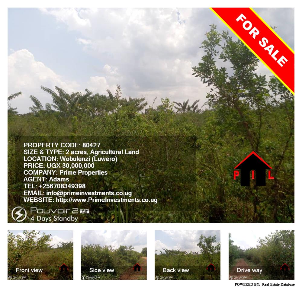 Agricultural Land  for sale in Wobulenzi Luweero Uganda, code: 80427