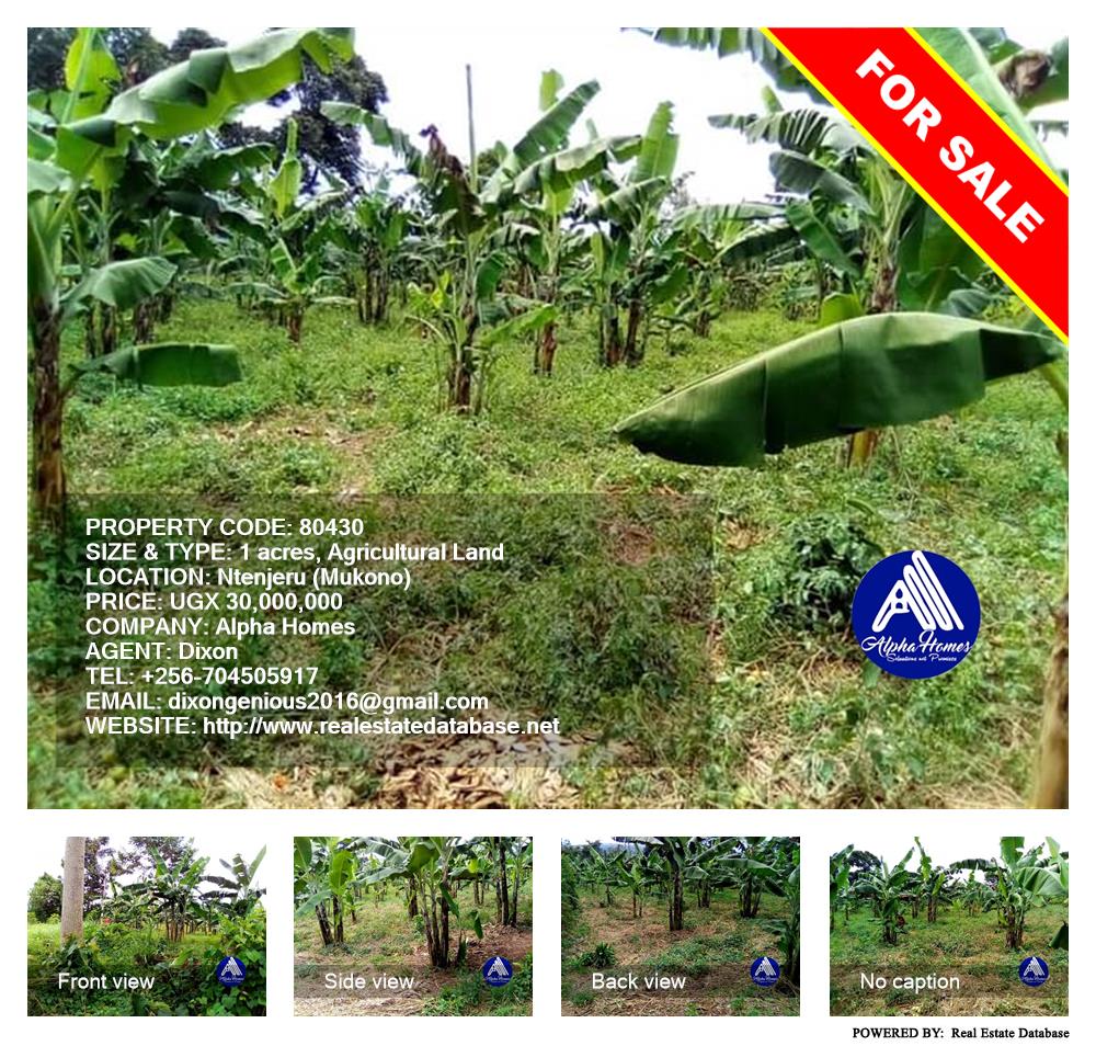 Agricultural Land  for sale in Ntenjjeru Mukono Uganda, code: 80430