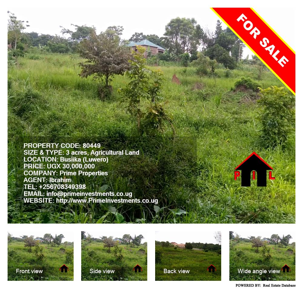 Agricultural Land  for sale in Busiika Luweero Uganda, code: 80449