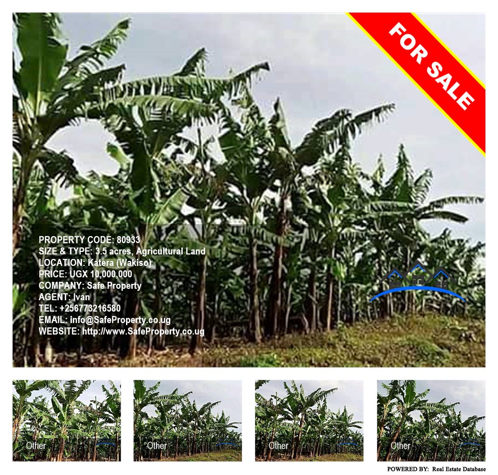 Agricultural Land  for sale in Katera Wakiso Uganda, code: 80933