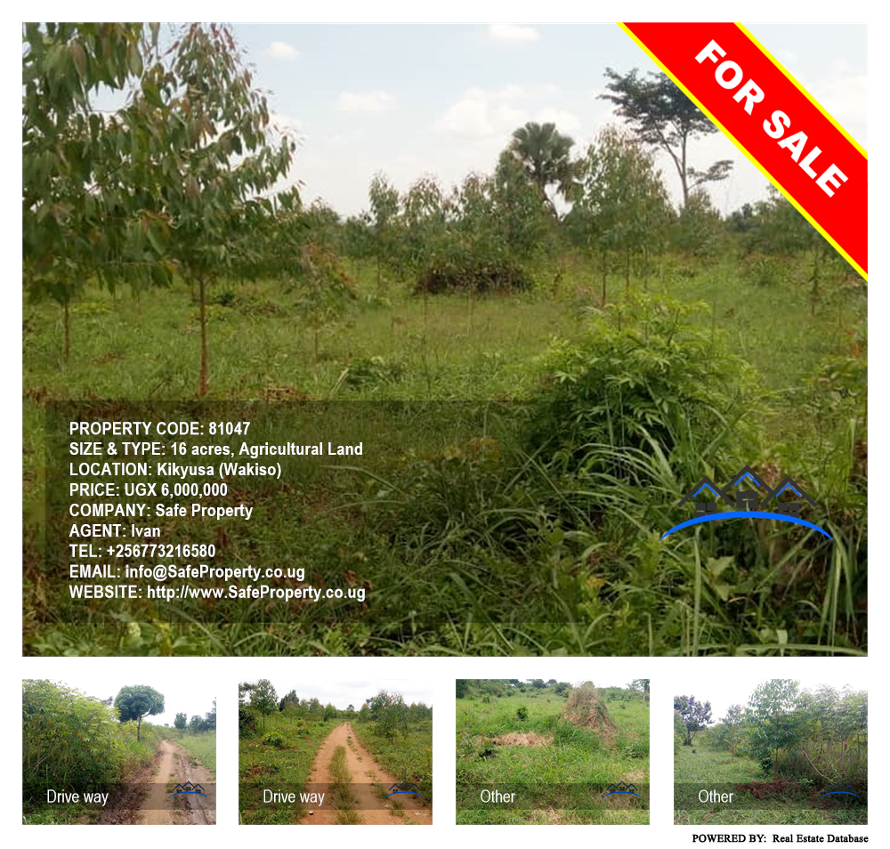 Agricultural Land  for sale in Kikyuusa Wakiso Uganda, code: 81047