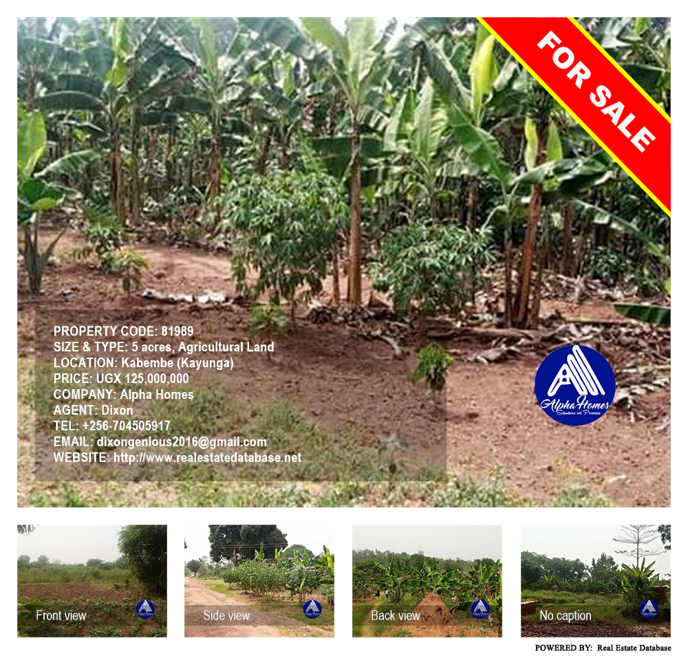 Agricultural Land  for sale in Kabembe Kayunga Uganda, code: 81989