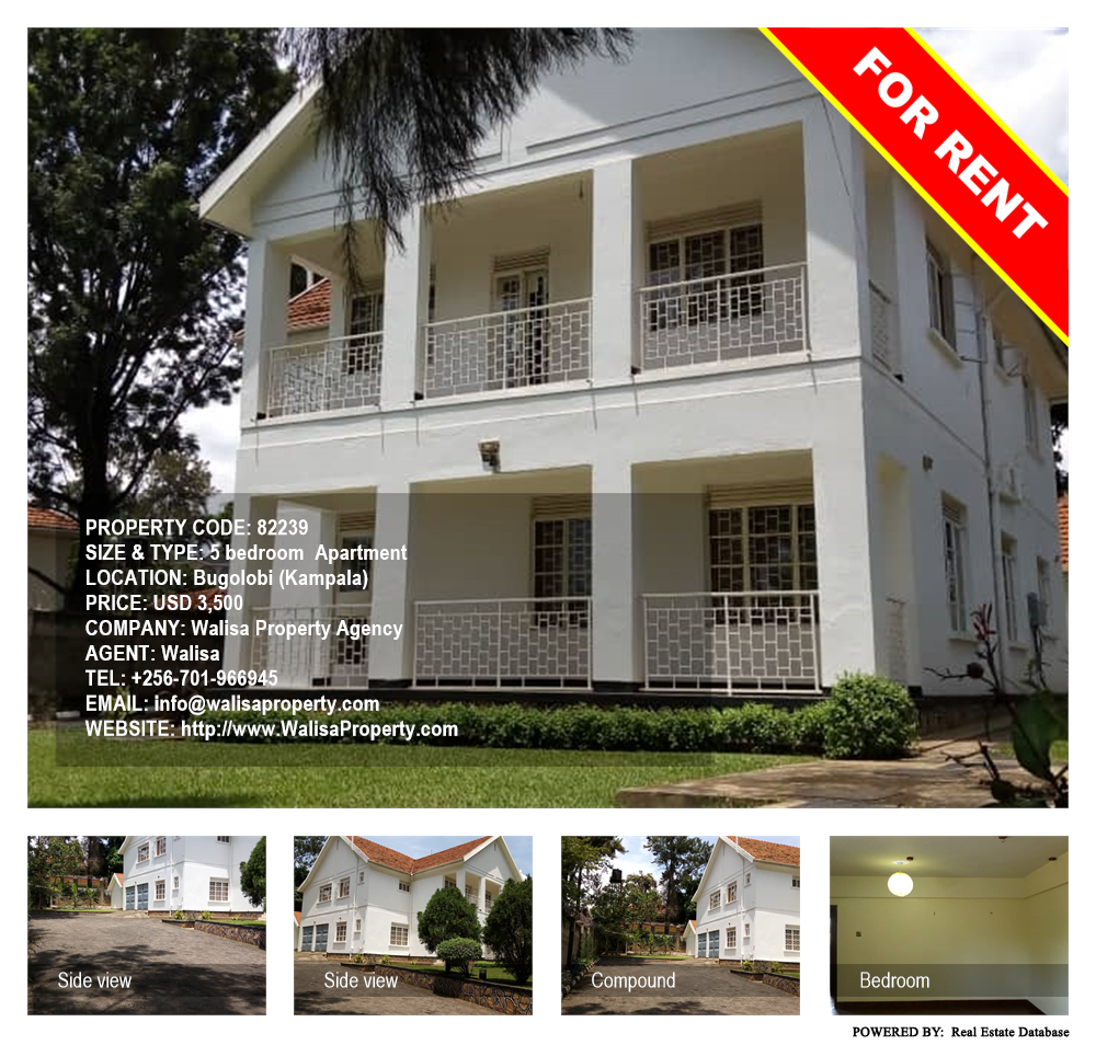 5 bedroom Apartment  for rent in Bugoloobi Kampala Uganda, code: 82239