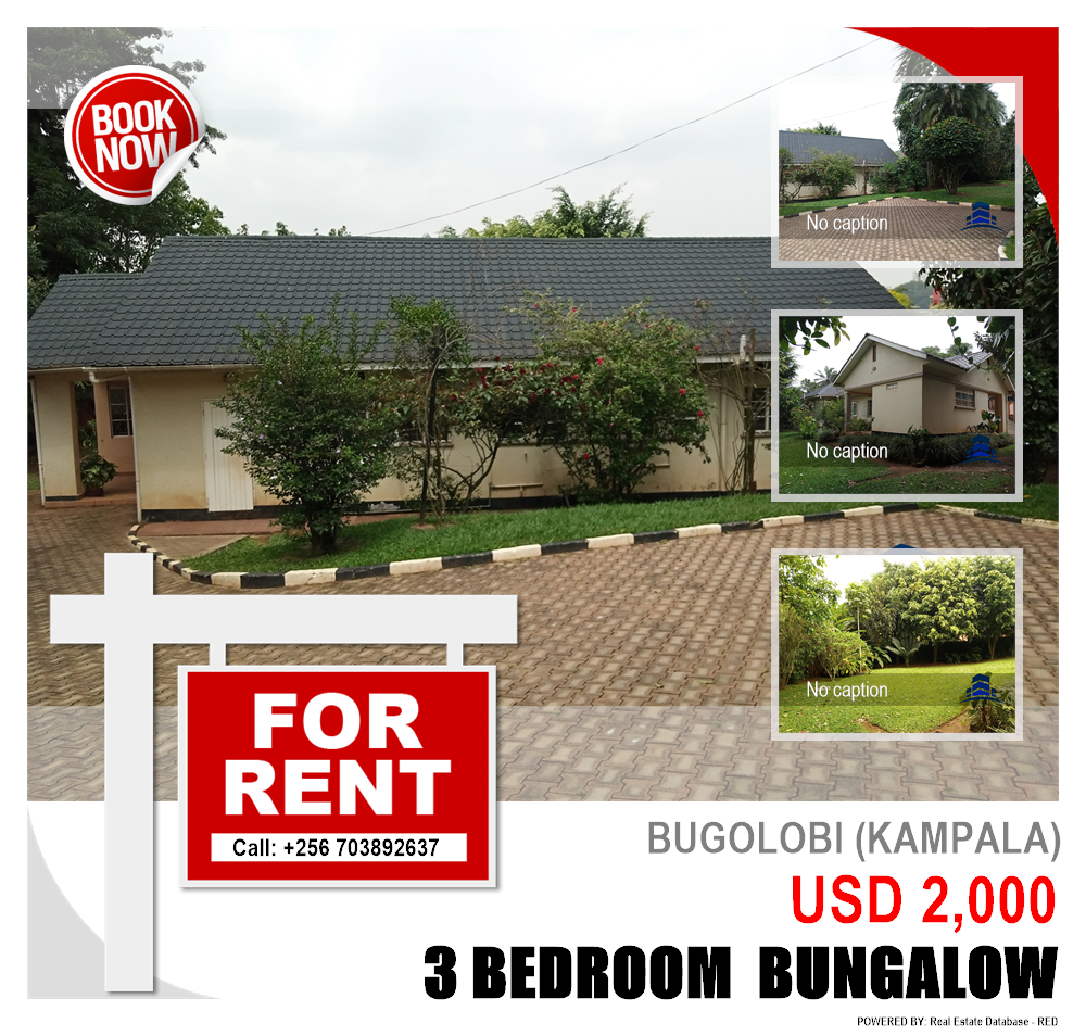 3 bedroom Bungalow  for rent in Bugoloobi Kampala Uganda, code: 84988