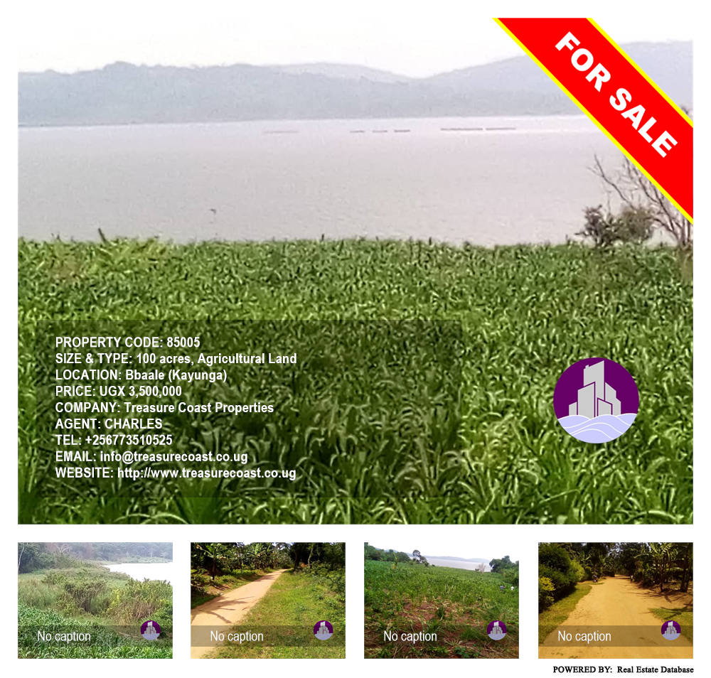 Agricultural Land  for sale in Bbaale Kayunga Uganda, code: 85005