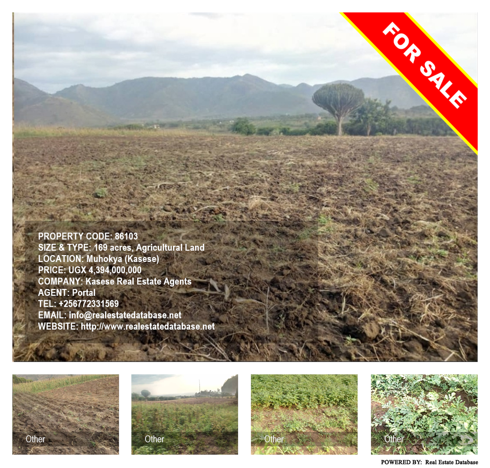 Agricultural Land  for sale in Muhokya Kaseese Uganda, code: 86103
