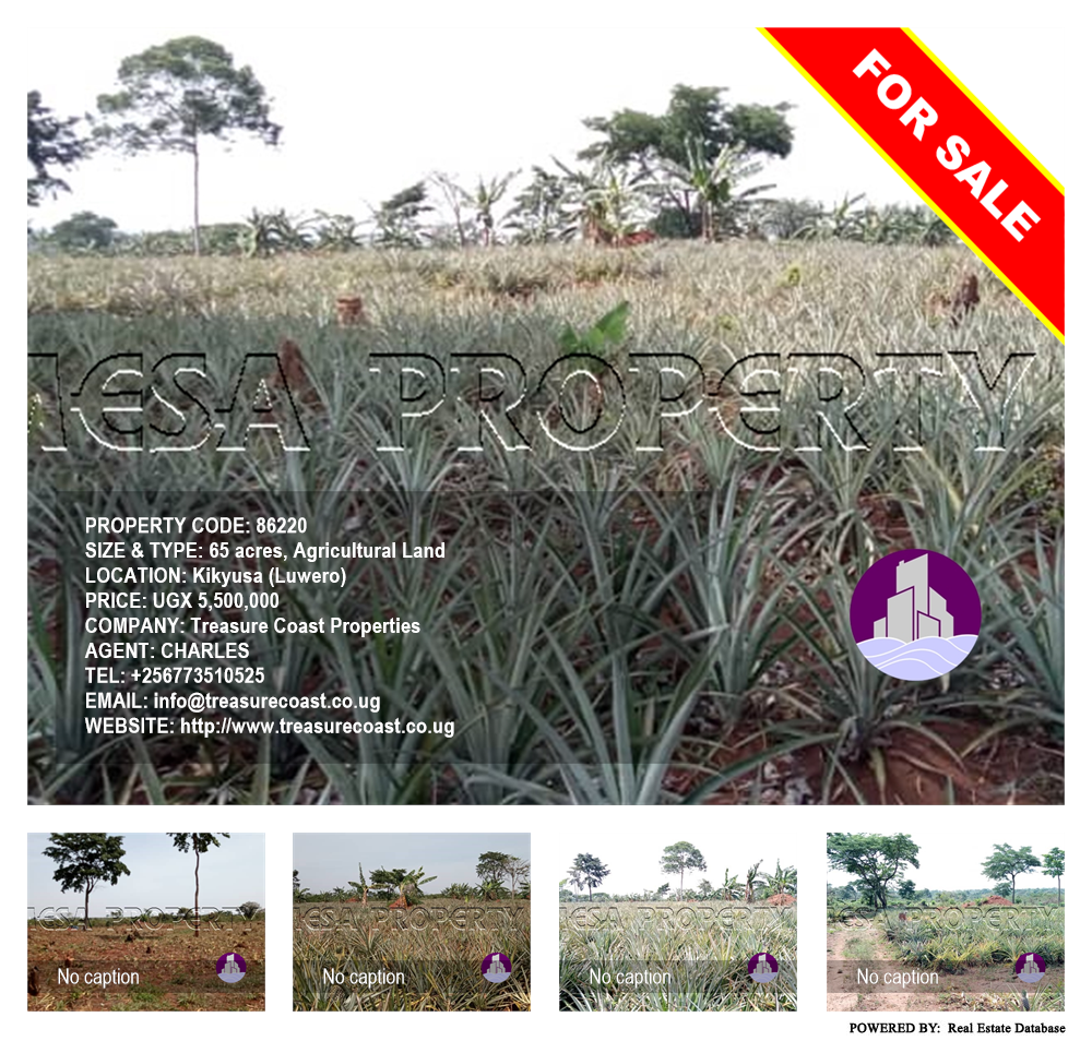 Agricultural Land  for sale in Kikyuusa Luweero Uganda, code: 86220