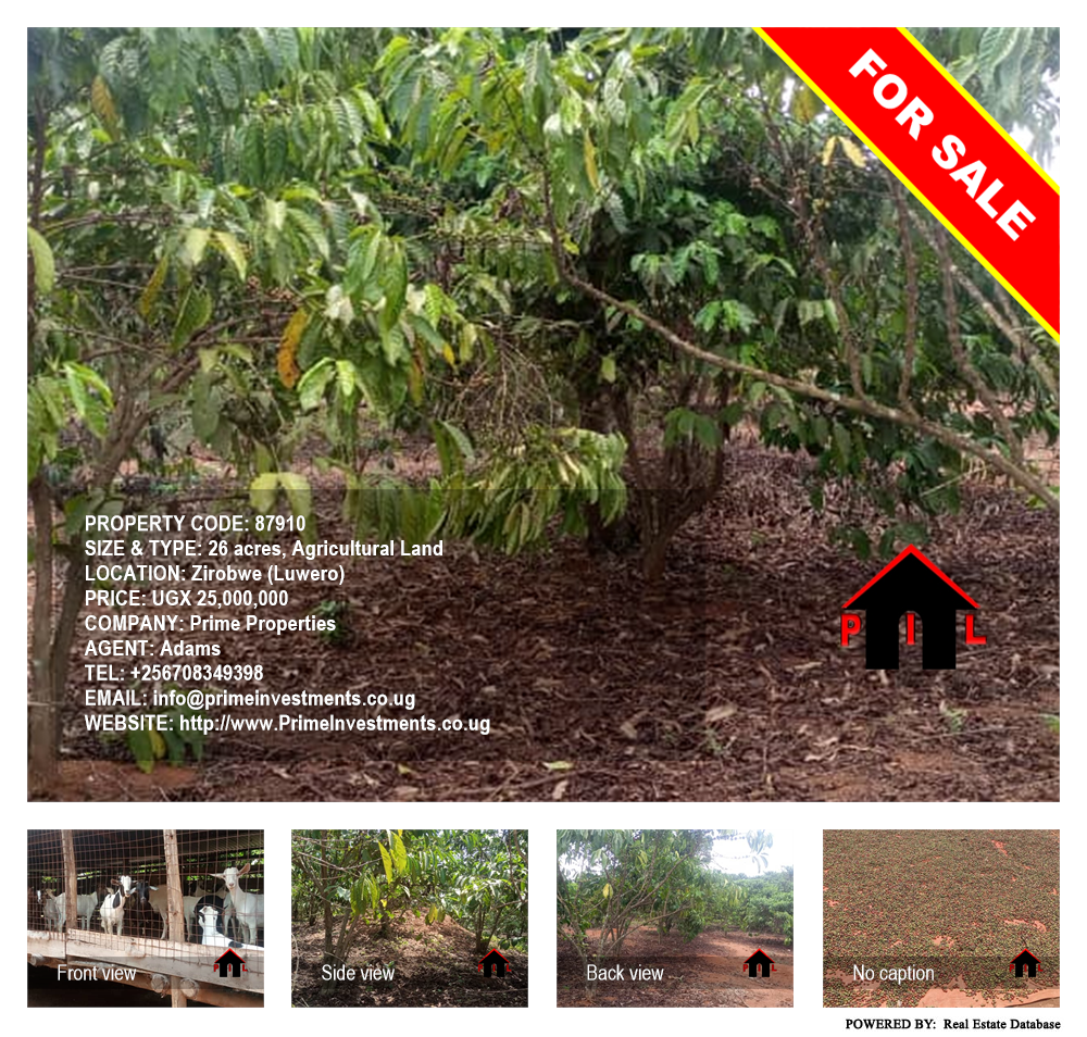 Agricultural Land  for sale in Ziloobwe Luweero Uganda, code: 87910