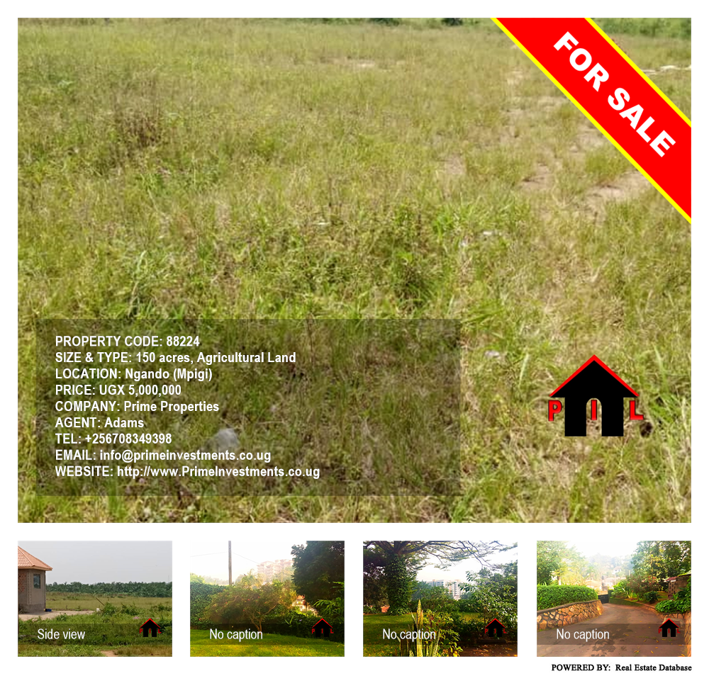 Agricultural Land  for sale in Ngando Mpigi Uganda, code: 88224