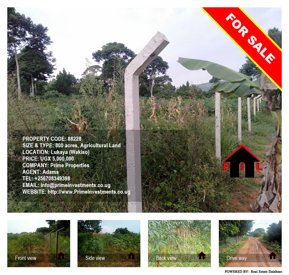 Agricultural Land  for sale in Lukaya Wakiso Uganda, code: 88228