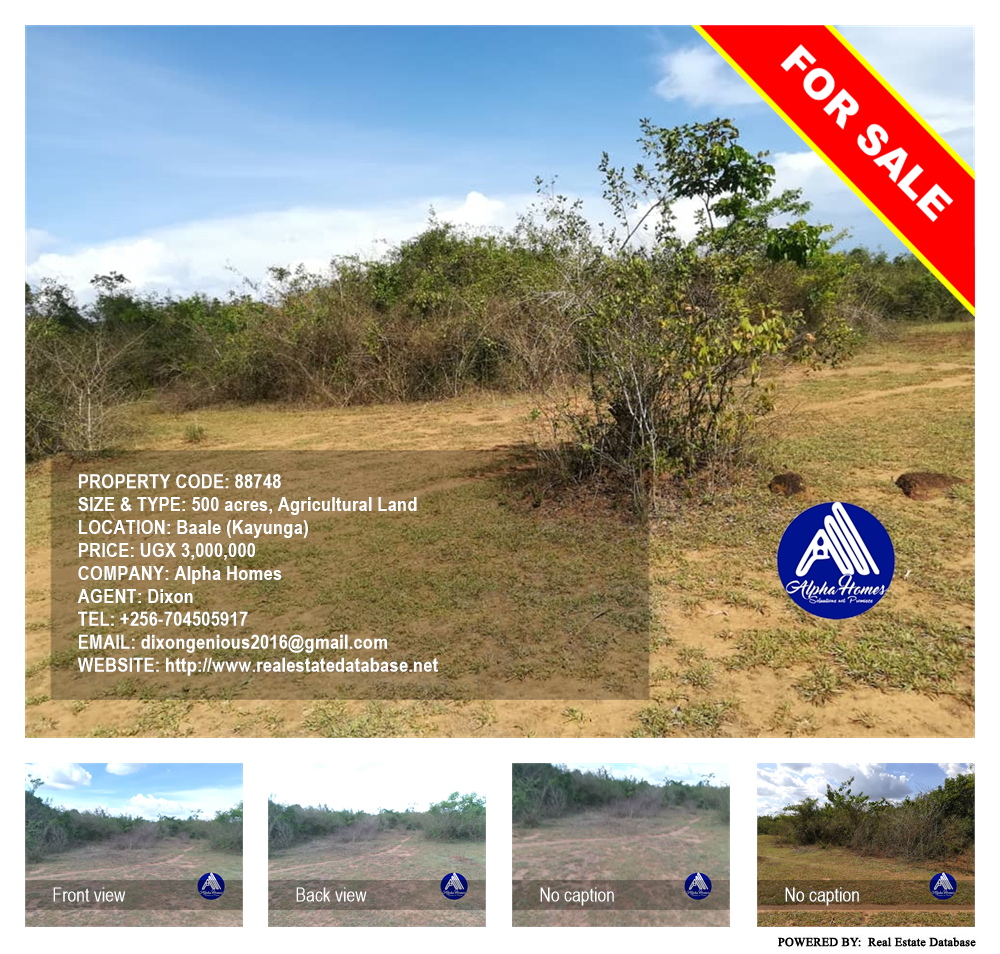 Agricultural Land  for sale in Bbaale Kayunga Uganda, code: 88748