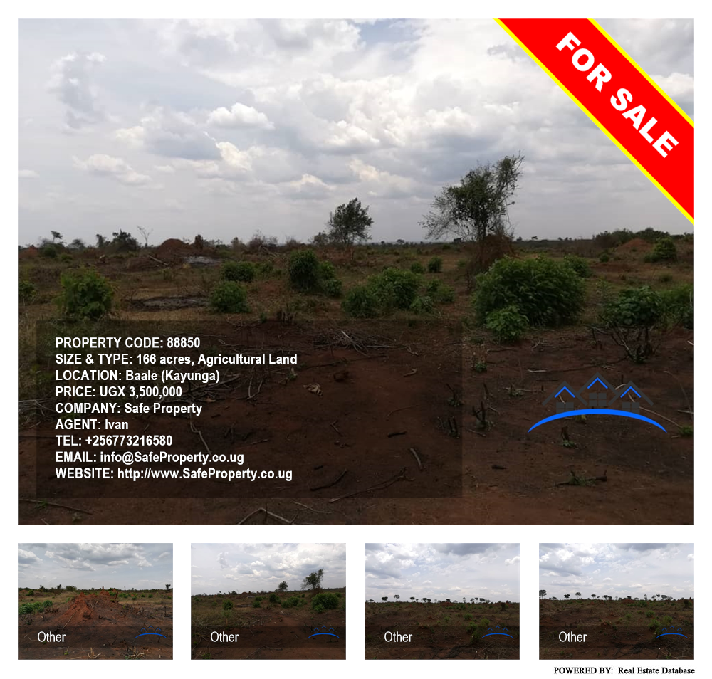 Agricultural Land  for sale in Bbaale Kayunga Uganda, code: 88850