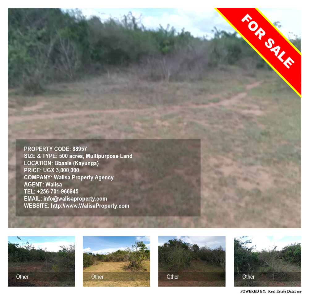 Multipurpose Land  for sale in Bbaale Kayunga Uganda, code: 88957