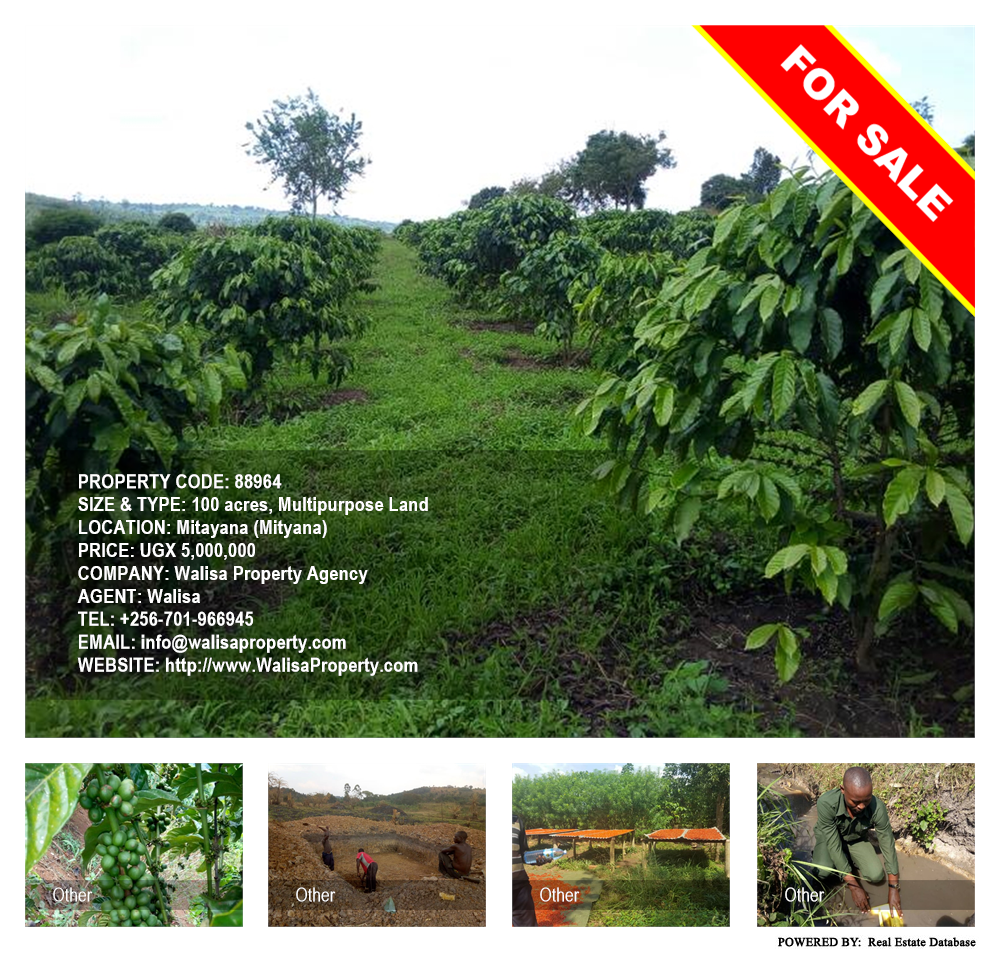Multipurpose Land  for sale in Mitayana Mityana Uganda, code: 88964