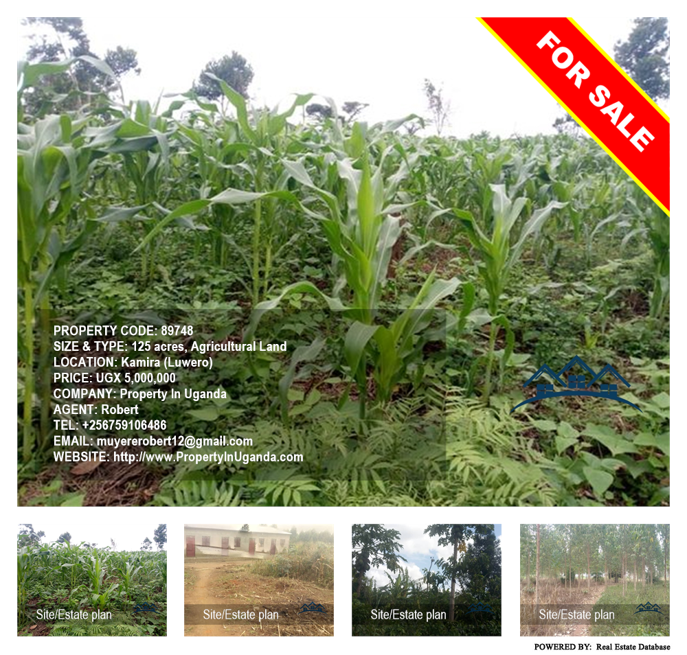 Agricultural Land  for sale in Kamila Luweero Uganda, code: 89748