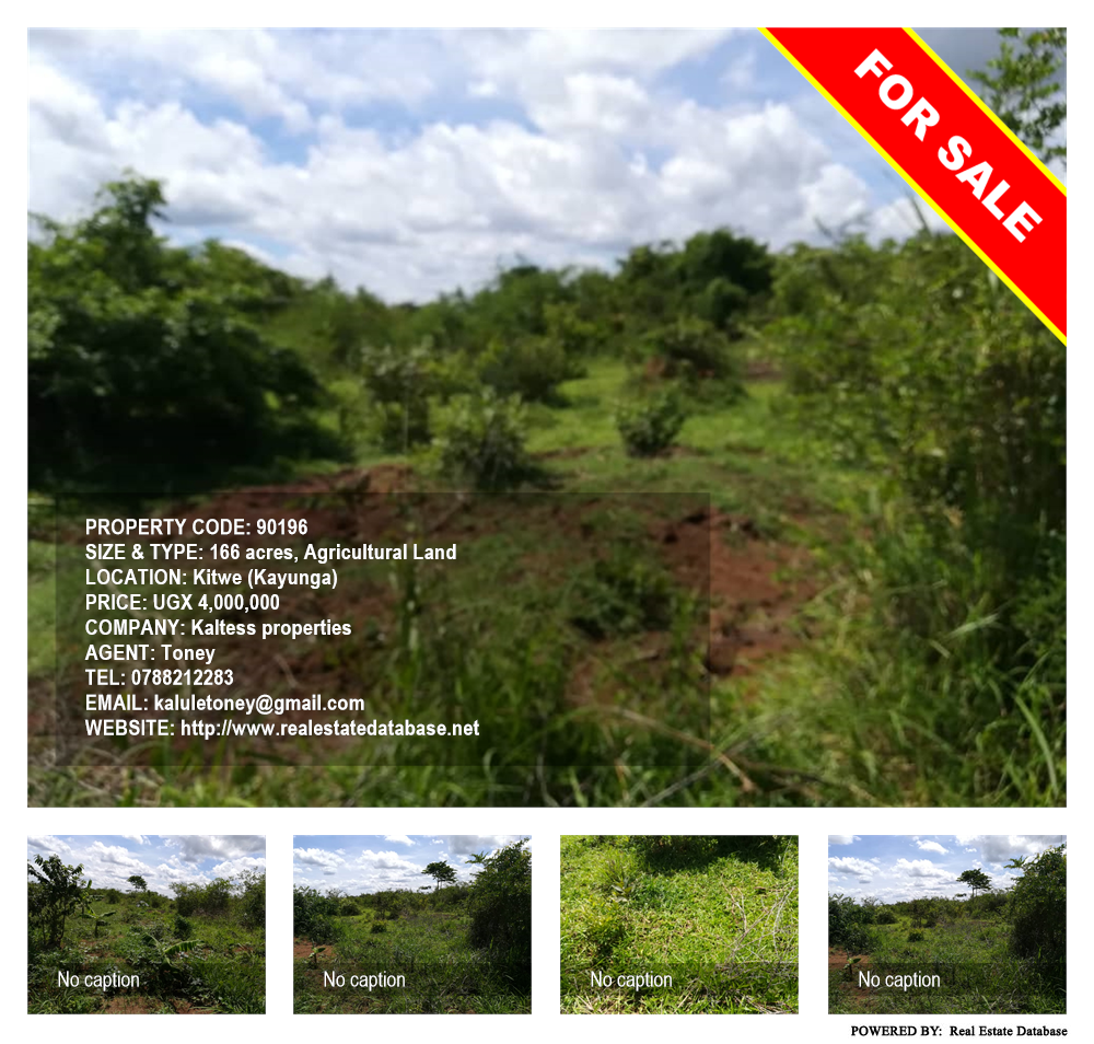 Agricultural Land  for sale in Kitwe Kayunga Uganda, code: 90196