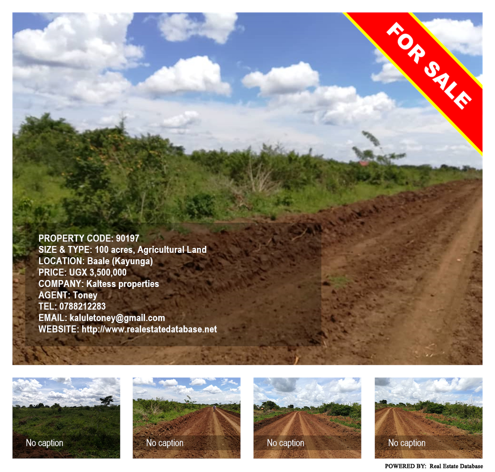 Agricultural Land  for sale in Bbaale Kayunga Uganda, code: 90197