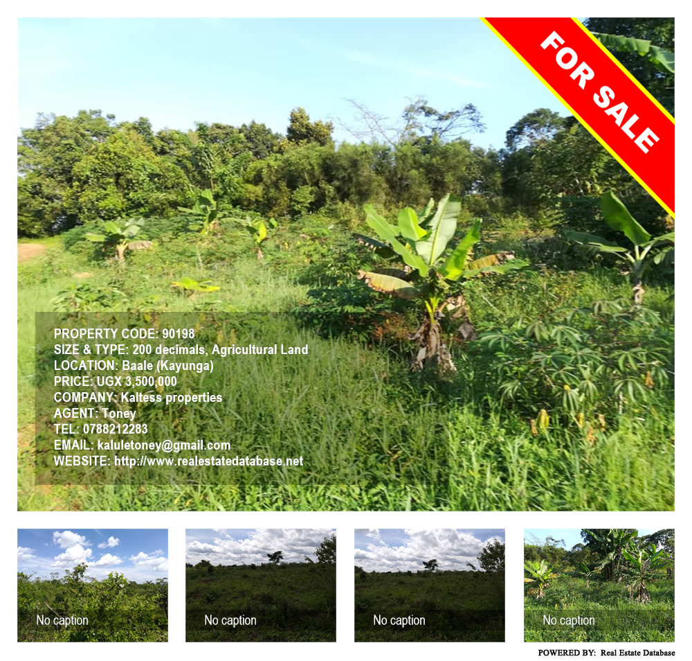 Agricultural Land  for sale in Bbaale Kayunga Uganda, code: 90198