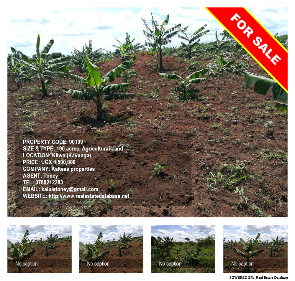 Agricultural Land  for sale in Kitwe Kayunga Uganda, code: 90199