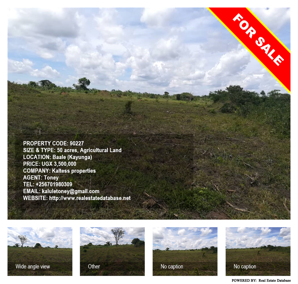 Agricultural Land  for sale in Bbaale Kayunga Uganda, code: 90227