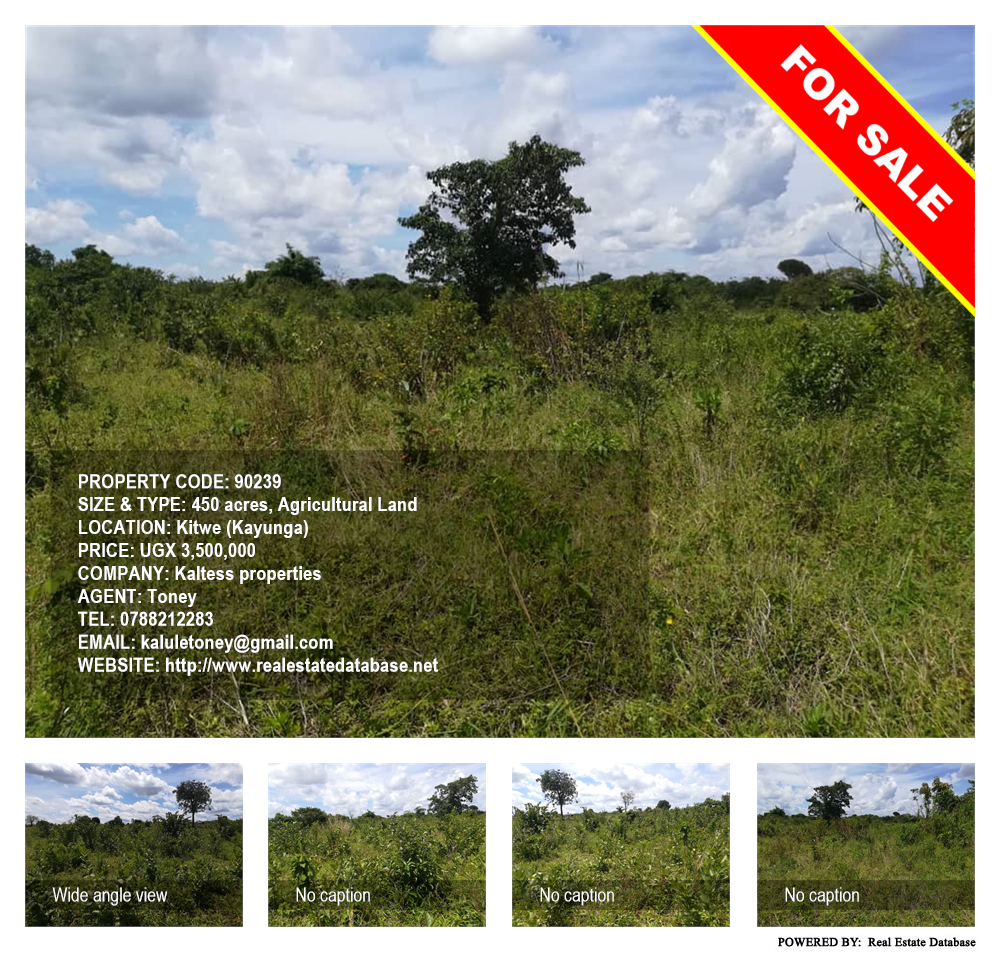 Agricultural Land  for sale in Kitwe Kayunga Uganda, code: 90239