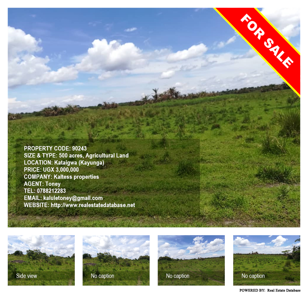 Agricultural Land  for sale in Kataigwa Kayunga Uganda, code: 90243
