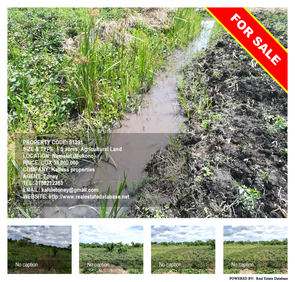 Agricultural Land  for sale in Namaliri Mukono Uganda, code: 91391