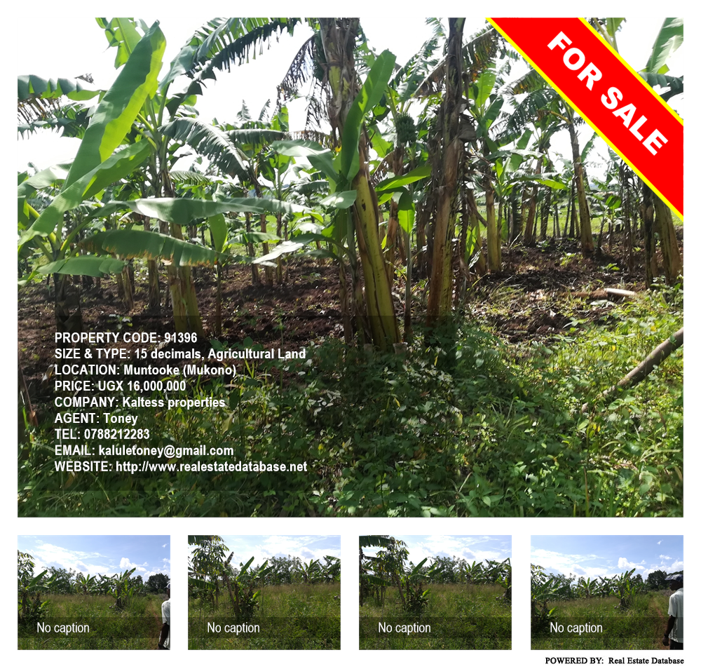 Agricultural Land  for sale in Muntooke Mukono Uganda, code: 91396