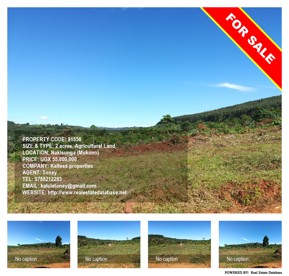 Agricultural Land  for sale in Nakisunga Mukono Uganda, code: 91556