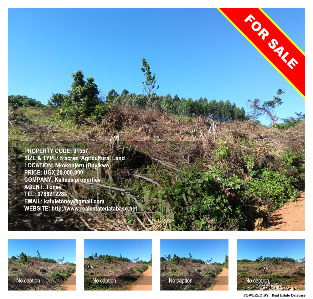 Agricultural Land  for sale in Nkokonjeru Buyikwe Uganda, code: 91557