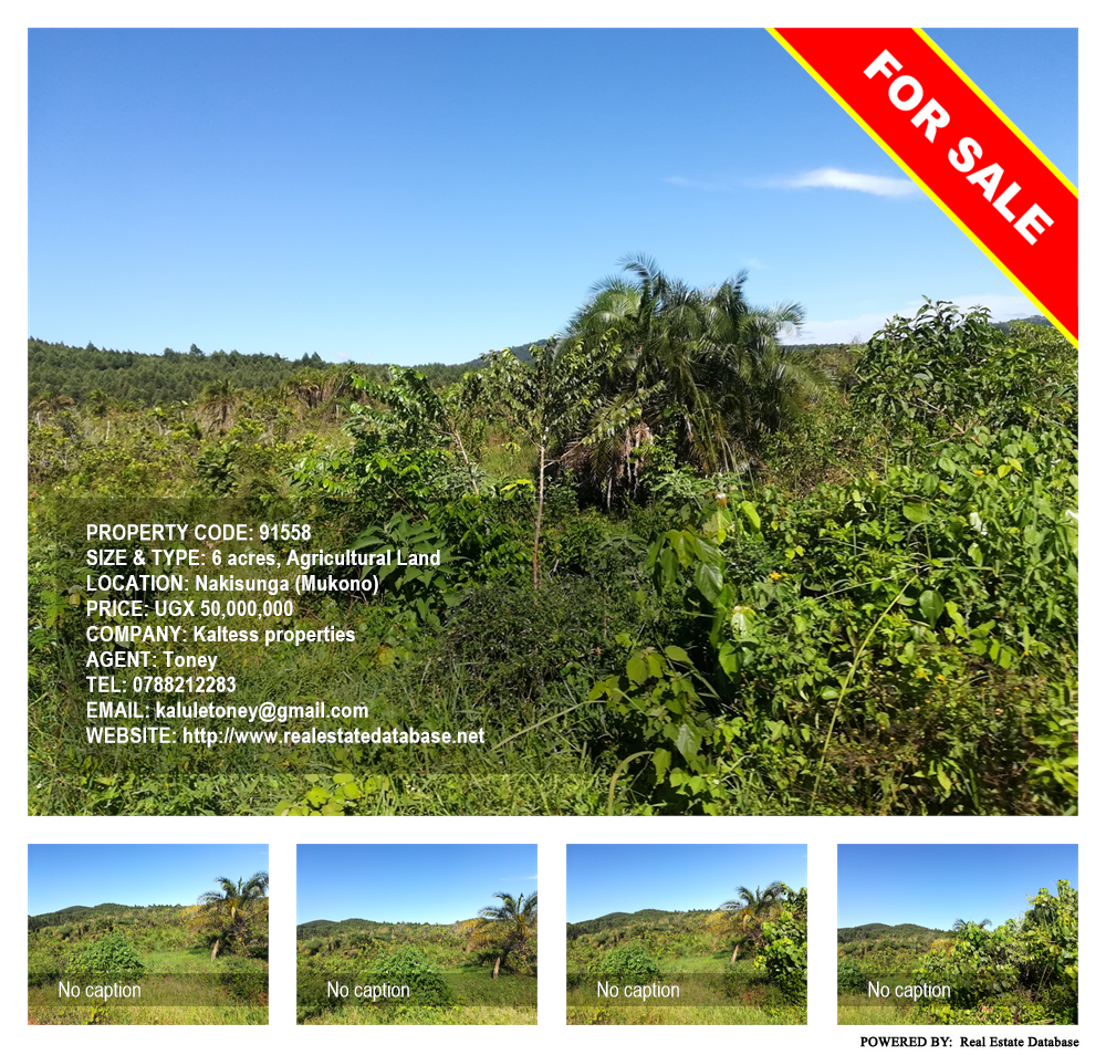 Agricultural Land  for sale in Nakisunga Mukono Uganda, code: 91558