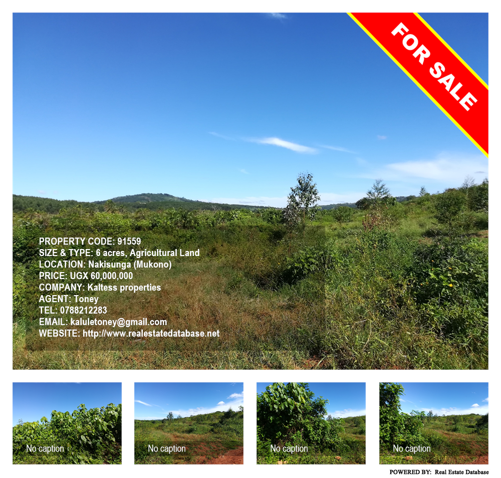 Agricultural Land  for sale in Nakisunga Mukono Uganda, code: 91559