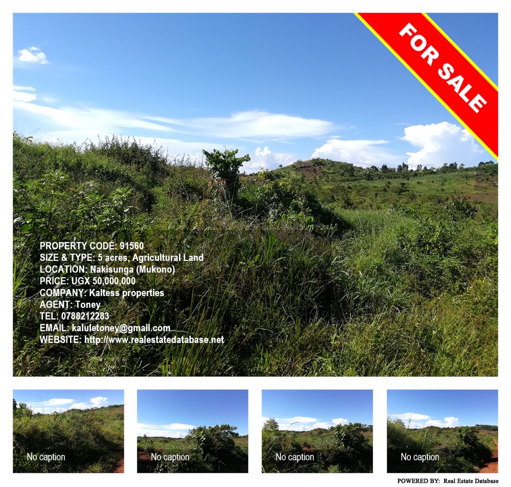 Agricultural Land  for sale in Nakisunga Mukono Uganda, code: 91560