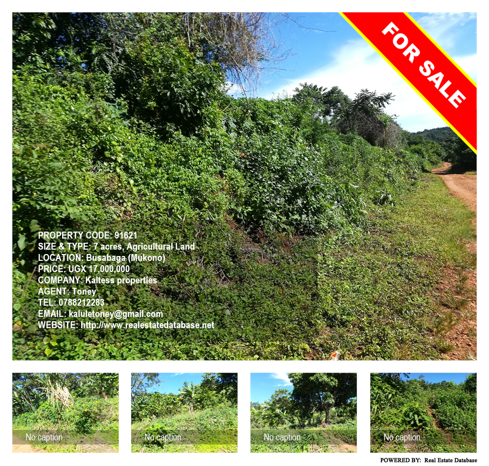 Agricultural Land  for sale in Busabaga Mukono Uganda, code: 91621
