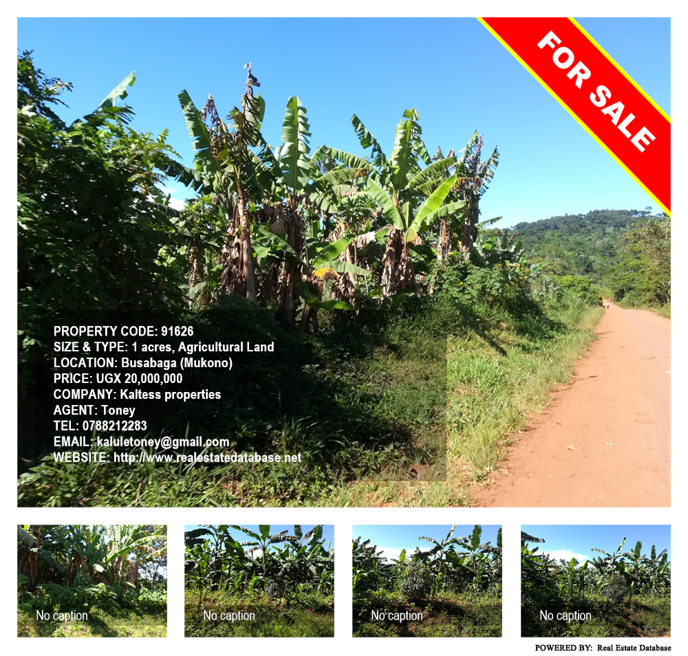 Agricultural Land  for sale in Busabaga Mukono Uganda, code: 91626