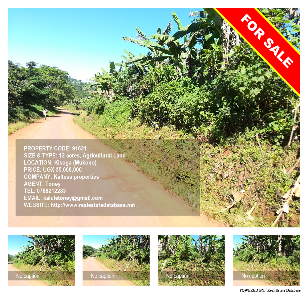 Agricultural Land  for sale in Kisoga Mukono Uganda, code: 91631