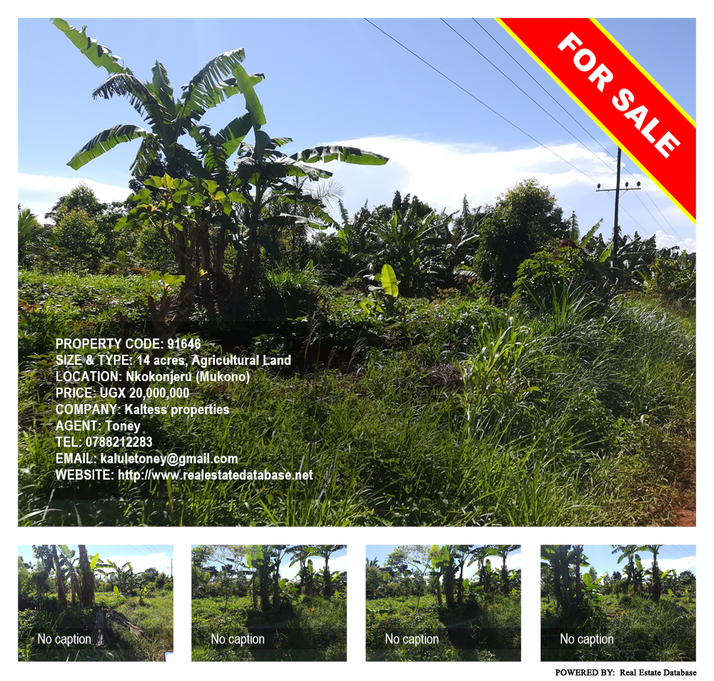 Agricultural Land  for sale in Nkokonjeru Mukono Uganda, code: 91646