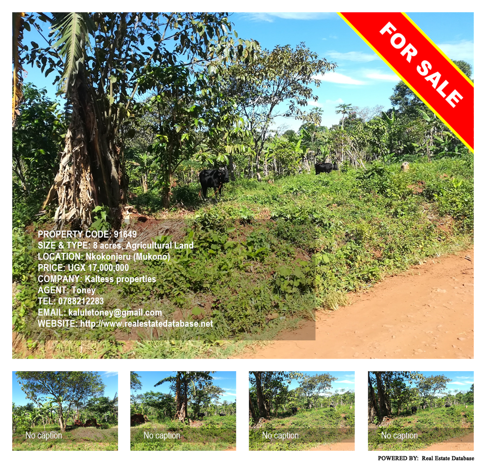 Agricultural Land  for sale in Nkokonjeru Mukono Uganda, code: 91649