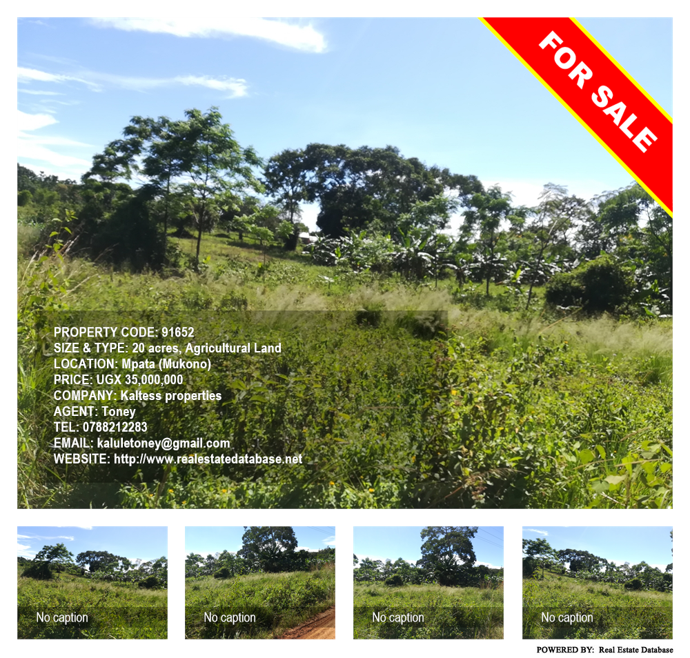 Agricultural Land  for sale in Mpata Mukono Uganda, code: 91652