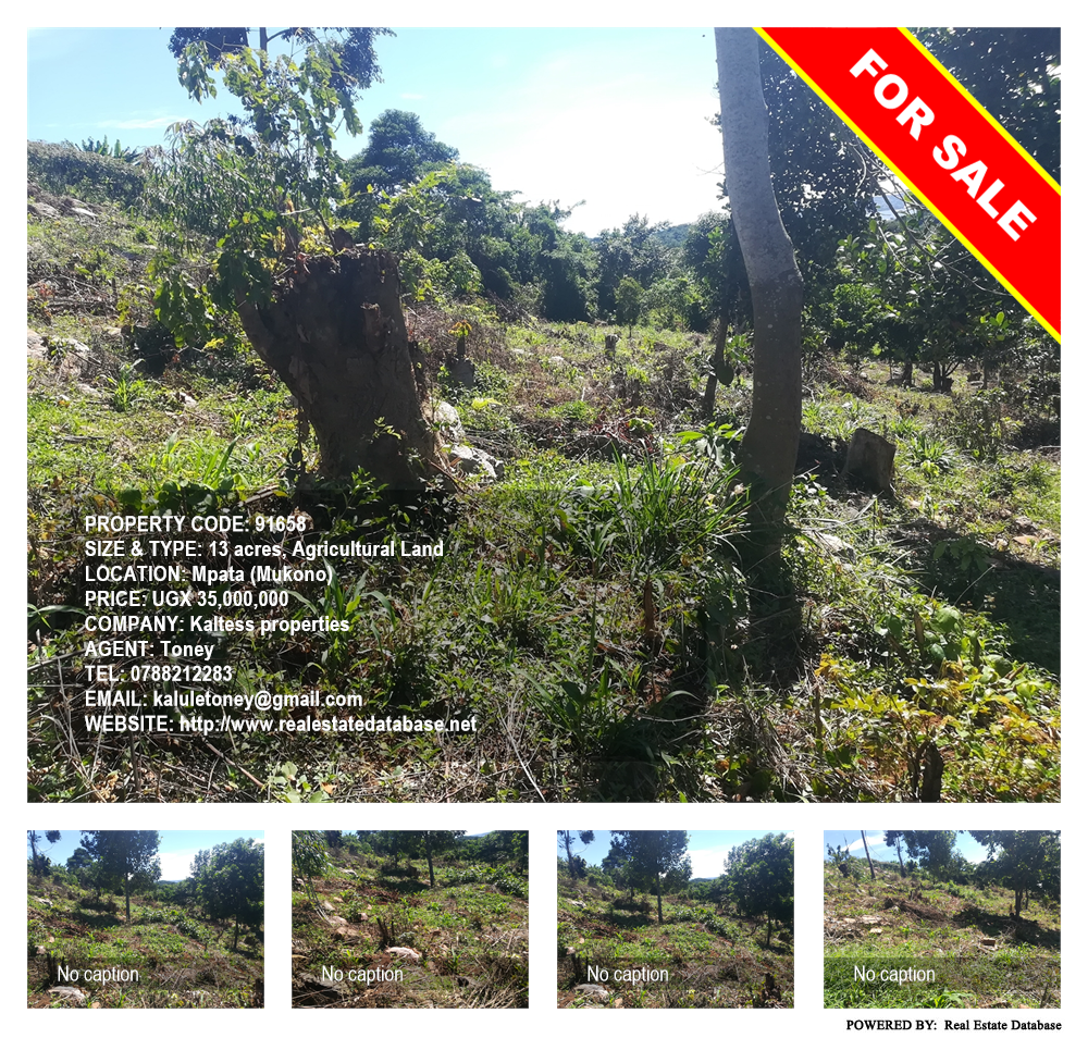 Agricultural Land  for sale in Mpata Mukono Uganda, code: 91658