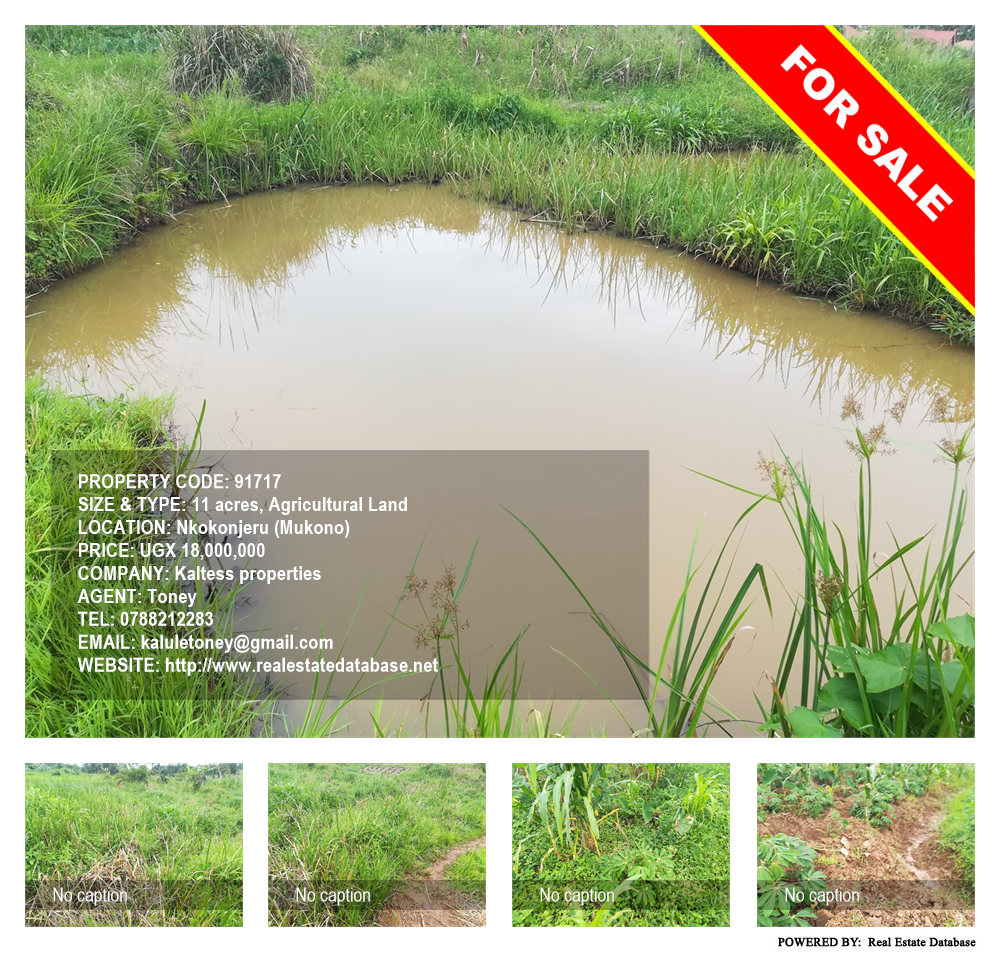 Agricultural Land  for sale in Nkokonjeru Mukono Uganda, code: 91717