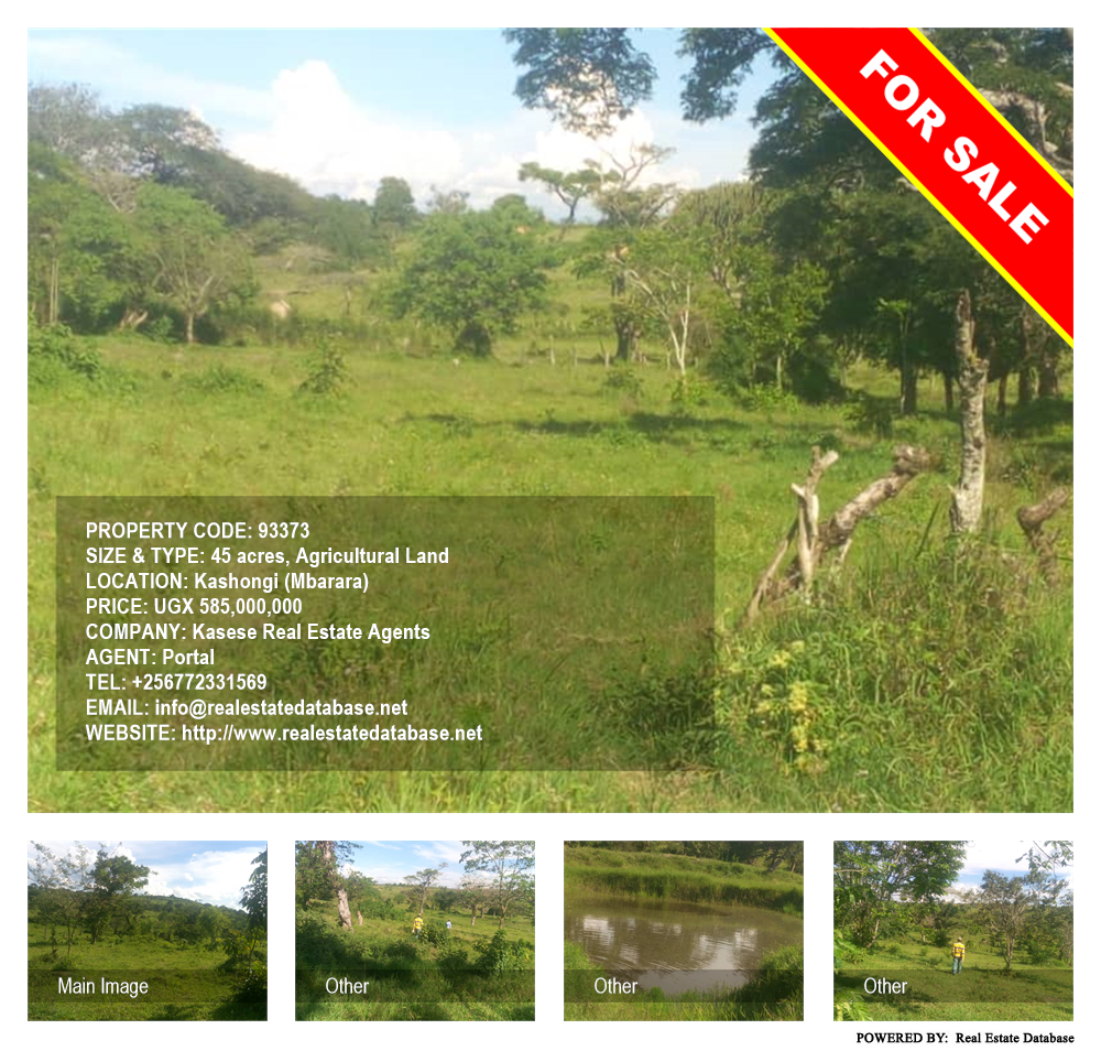 Agricultural Land  for sale in Kashongi Mbarara Uganda, code: 93373