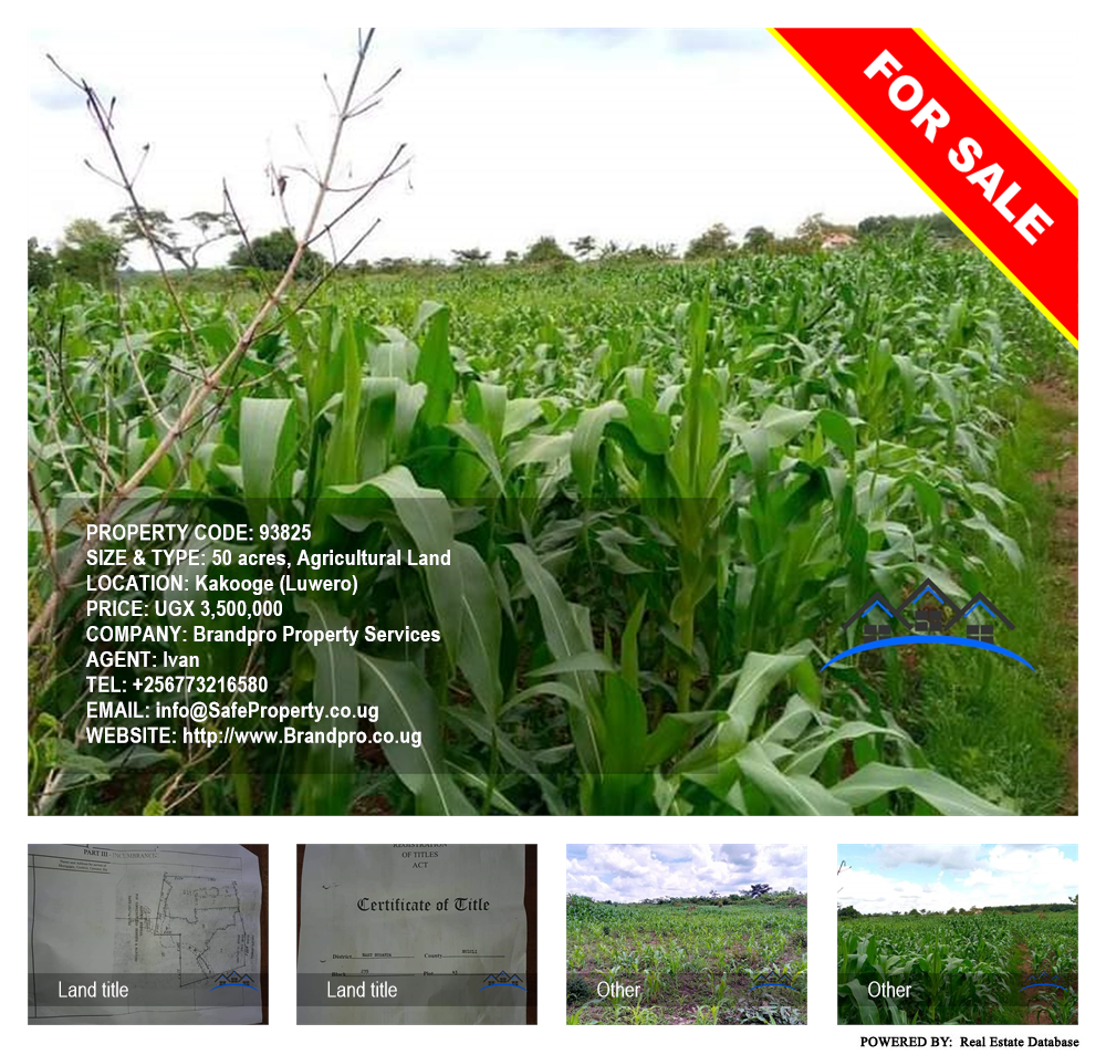 Agricultural Land  for sale in Kakooge Luweero Uganda, code: 93825